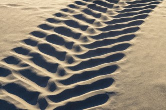Close-up of tire tracks forming a wavy pattern on a sandy surface, illuminated by sunlight