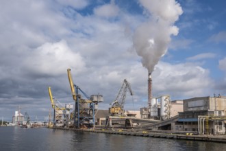 Harbour facilities in Gdansk