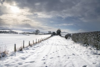 Snow Covered footpath (on disused railway) in the Scottish Borders