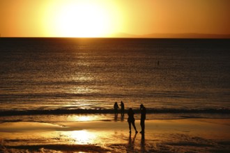 A golden-coloured sunset on a beach with the silhouettes of a family