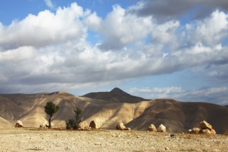 Magnificent transparent day in Judean desert. Easy shades from clouds on soft hills