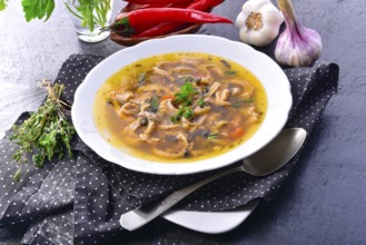 Traditional Politur-style tripe soup with beef and vegetables