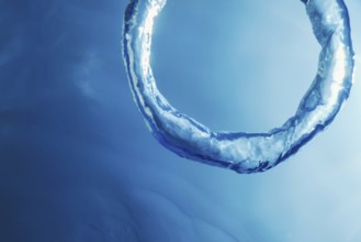 Bubble Ring Underwater, Ring Bubble