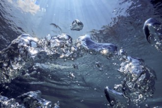 Underwater Bubbles Sunlight, Underwater background Bubbles Water Surface