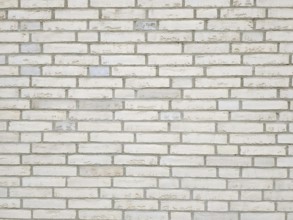 An image of a brick wall white background