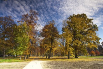Idyllic atmosphere in the popular park Stromovka in Prague