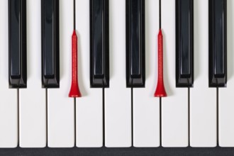 Virtuosic game - Piano keyboard and different golf balls and wooden tees