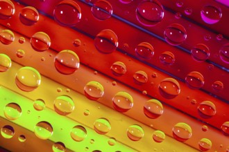 Color pencils under glass with drops of water. Office concept