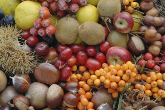 Wild fruit