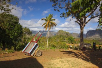 Famous Cuba farmland tobacco area, Valley de Vinales, Pinar del Rio, Cuba