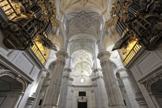 Santa Maria de la Encarnación, Cathedral of Granada, Interior view, Impressive cathedral interior