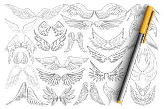 Bird wings patterns doodle set. Collection of hand drawn elegant wings of different birds in style