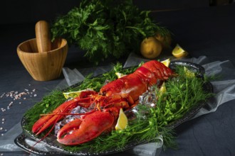 The cooked lobster on ice