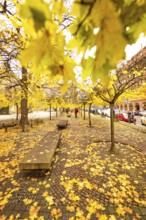 Gendarmenmarkt berlin in autumn
