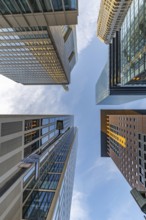 Look up in the morning in the middle of the skyline. Tower blocks and modern glass fronts at