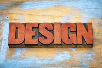 Design word typography - text in vintage letterpress wood type blocks against grunge wooden