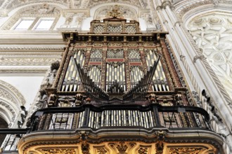 La Mezquita, Mosque, Cathedral of Cordoba, Cordoba, Andalusia, Spain, Europe, Large baroque organ