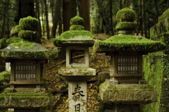 Typical japanese stone lanterns in Nara, Japan, Nara, Japan
