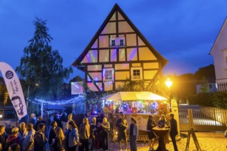 32nd Elbhangfest colourful hustle and bustle in Loschwitz in the evening, Dresden, Saxony, Germany