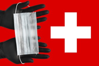 Doctor holds face mask in hands in black medical gloves on background colors flag of Switzerland.