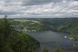Rur dam in the Eifel National Park