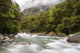 Mountainous Monkey creek flowing through impressive landscape next to Milford Sound highway, South