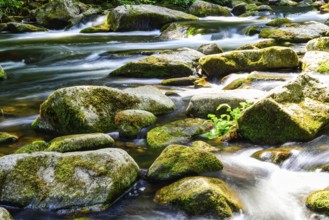 A view of the Bode riverbed in the Harz Mountains in glorious sunshine