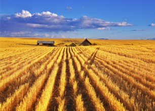 Solar autumn midday on fields of Montana