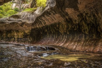 Magnificent Subway gorge landmark in the Zion National Park in Utah, USA