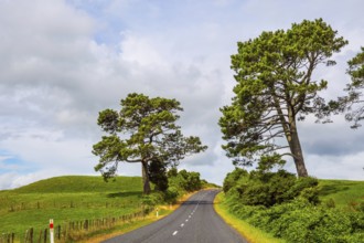 Fabulous faraway country. Road among the green fields of the North Island of New Zealand. Way to
