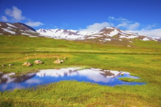 The fields overgrown with fresh green grass. The hills are covered with snow and are reflected in a
