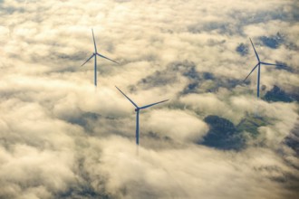 Wind turbines in the wintry morning mist protrude from the fog layer in the Haltern and Marl area.
