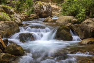 Natural monument Gaulschlucht gorge in Lana near Merano, South Tyrol