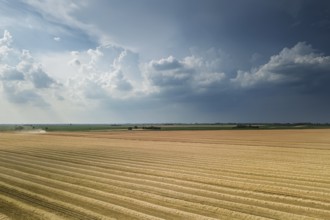 Areal view of crop fields in sunny summer day. Wheat Harvest