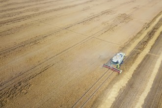Combine harvester working on a wheat field. Combine harvester Aerial view