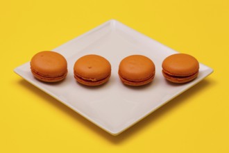 Traditional french colorful macarons on the white plate