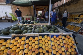 Sale of fruit direct from the field, Lleida, Spain