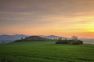 Sunrise in Central Bohemian Highlands, Czech Republic. Central Bohemian Uplands is a mountain range