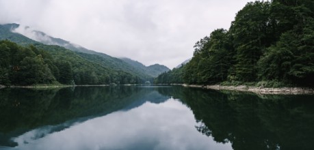 Lake surrounded by a green forest in the Biogradska Gora park. Montenegro.