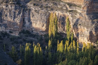 Las Hoces del Río Duratón Natural Park, Segovia province, Spain