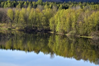 Reflection of the vegetation on the bank in the water of the Steinbach Dam on the edge of the