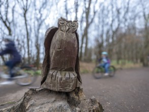 Wooden owl on a path in the haunted forest on the cliffs leading to the Baltic Sea, Nienhagen,