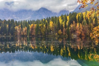 The colors of the autumn forests are reflected in the icy water of the lake. Sunrise. Mountains