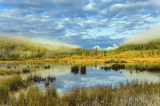 Cool cloudy morning in the Rocky Mountains. Patricia Lake among the firs and pines. Water reflects