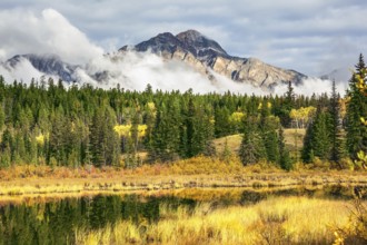 Patricia Lake. Picturesque little lake surrounded by yellow and orange autumn grass and trees.