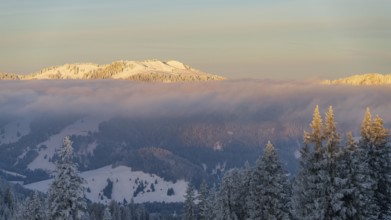 Sunrise in the alps in winter with fresh snow above the clouds near Oberjoch