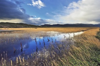 National Park Torres del Paine, Chile. Shallow lake, overgrown with grass, reflecting the blue sky