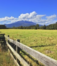 On the horizon the beautiful high mountain is visible. The green grassy rural field fenced with a