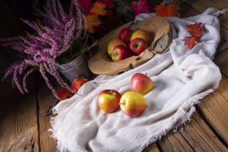 Malus sylvestris, der leckere europäische Krabbenapfel