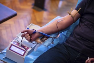 The hand of a man who donates blood. Male donor gives blood in a mobile blood donation center.